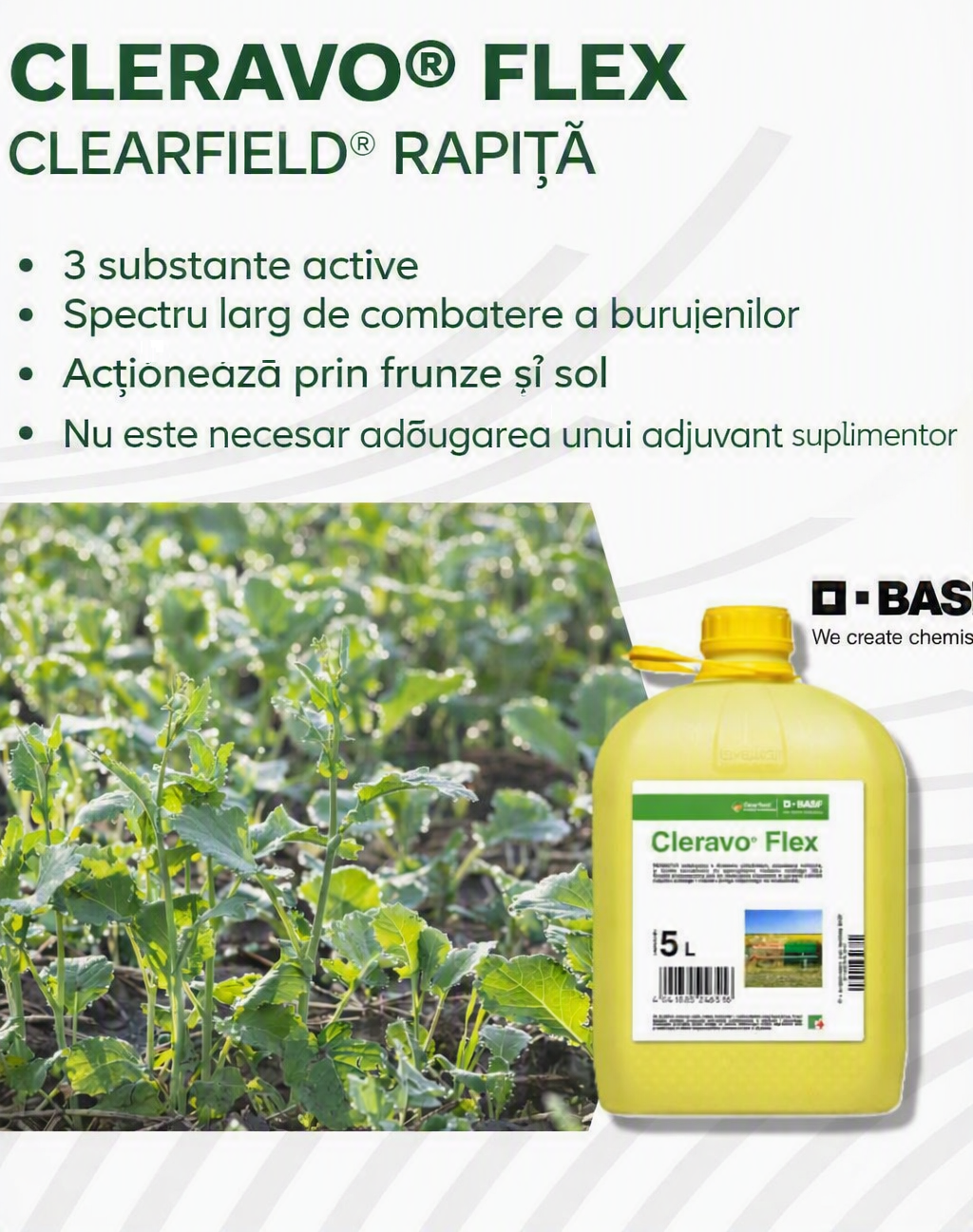 Cleravo Flex - Erbicid Postemergent  Rapita -  Imazamox + Quinmerac + Aminopiralid - BASF