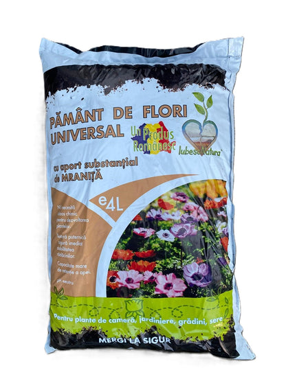 https://cdn.sezamo.ro/images/grocery/products/33706/33706-1737383669383.jpeg
