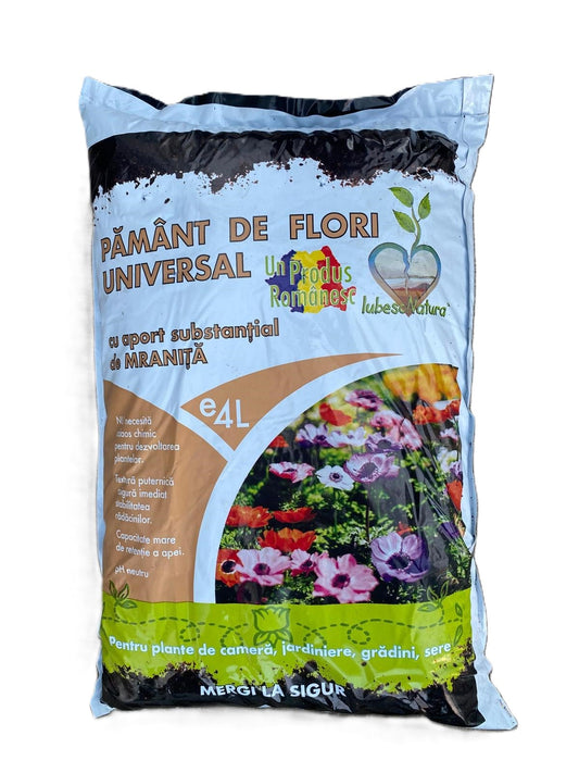 https://cdn.sezamo.ro/images/grocery/products/33706/33706-1737383669383.jpeg