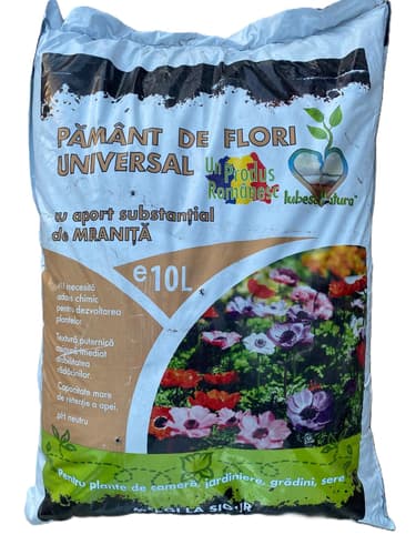 https://cdn.sezamo.ro/cdn-cgi/image/f=auto,w=500,h=500,q=75/https://cdn.sezamo.ro/images/grocery/products/33707/33707-1737383689608.jpeg