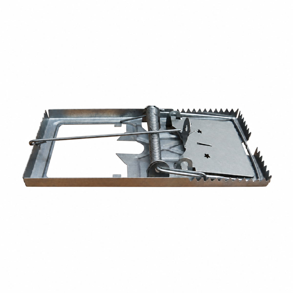 https://cdn.shopify.com/s/files/1/0784/3843/3097/files/33847.png