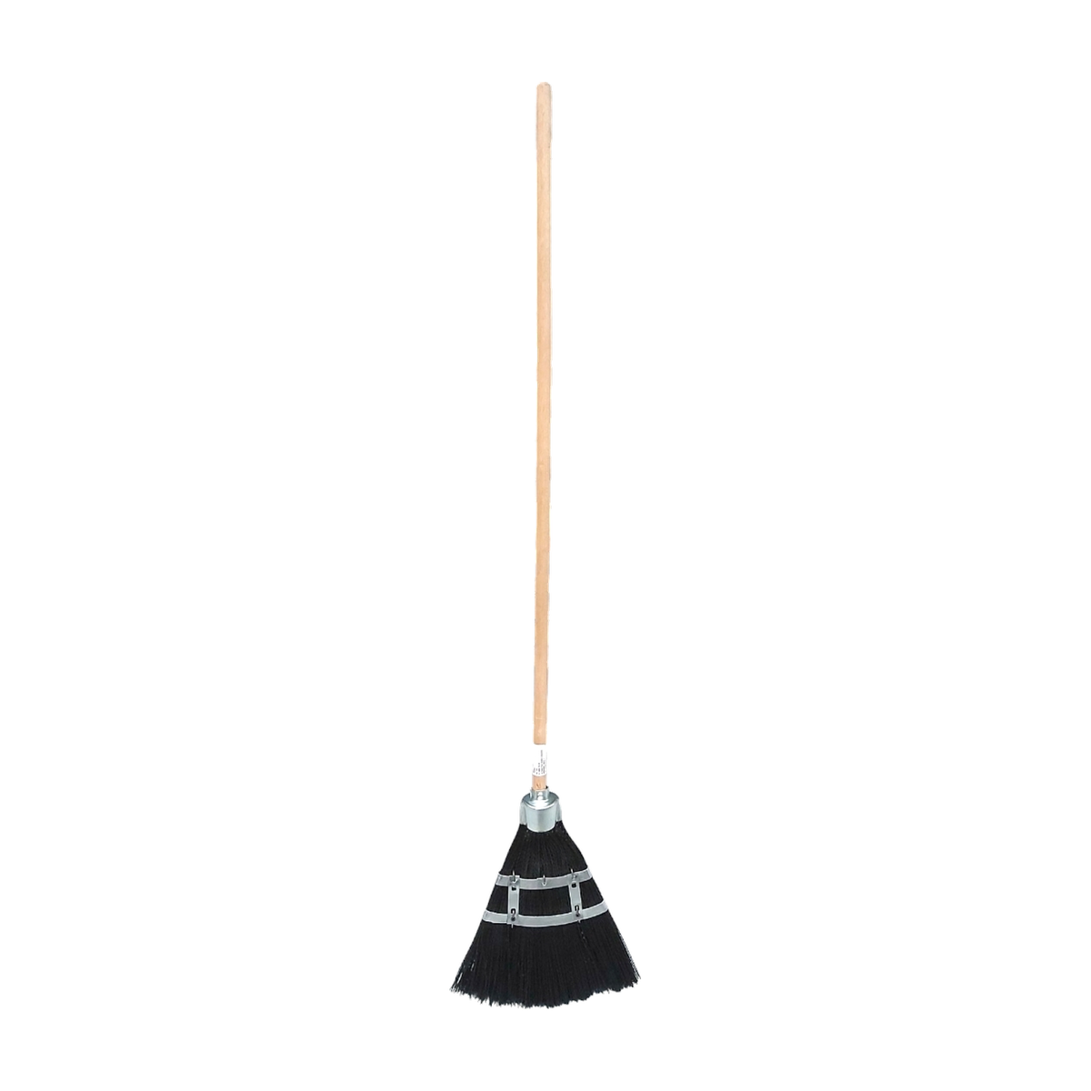 matura-palmira-coada-38724