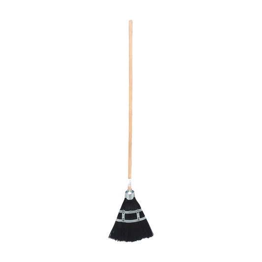 matura-palmira-coada-38724