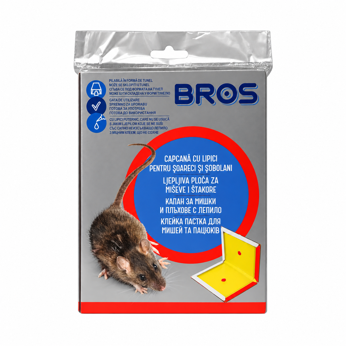 https://cdn.shopify.com/s/files/1/0784/3843/3097/files/39092.png