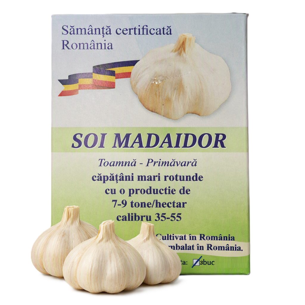 samanta-usturoi-toamna-madaidor-soi-romanesc