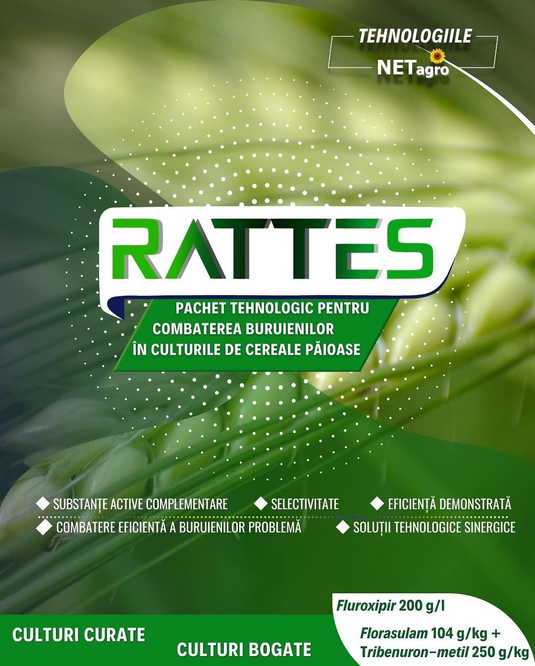 rattes-pachet-erbicid-fluroxipir-florasulam-tribenuron-metil-cereale-paioase