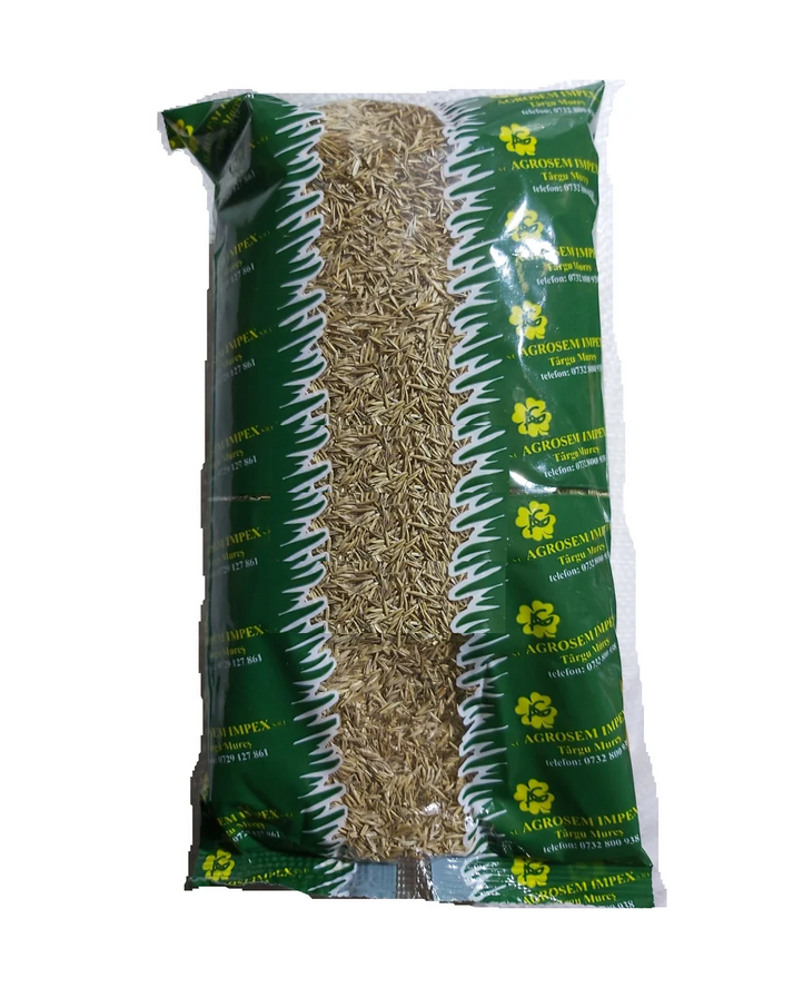 gazon-ornamental-agrosen-amestec-premium-festuca-loietto