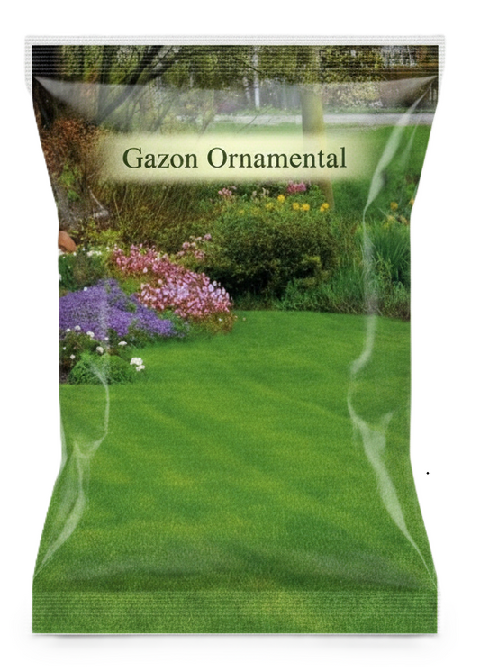 gazon-ornamental-agrosen-amestec-premium-festuca-loietto