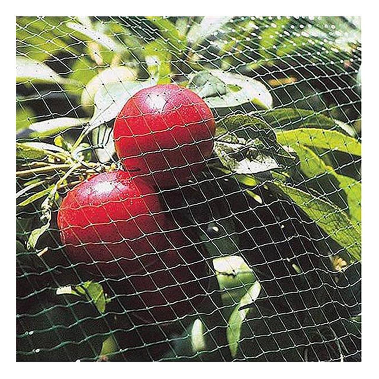 Plasa pvc contra pasarilor, verde inchis, 2x5 m