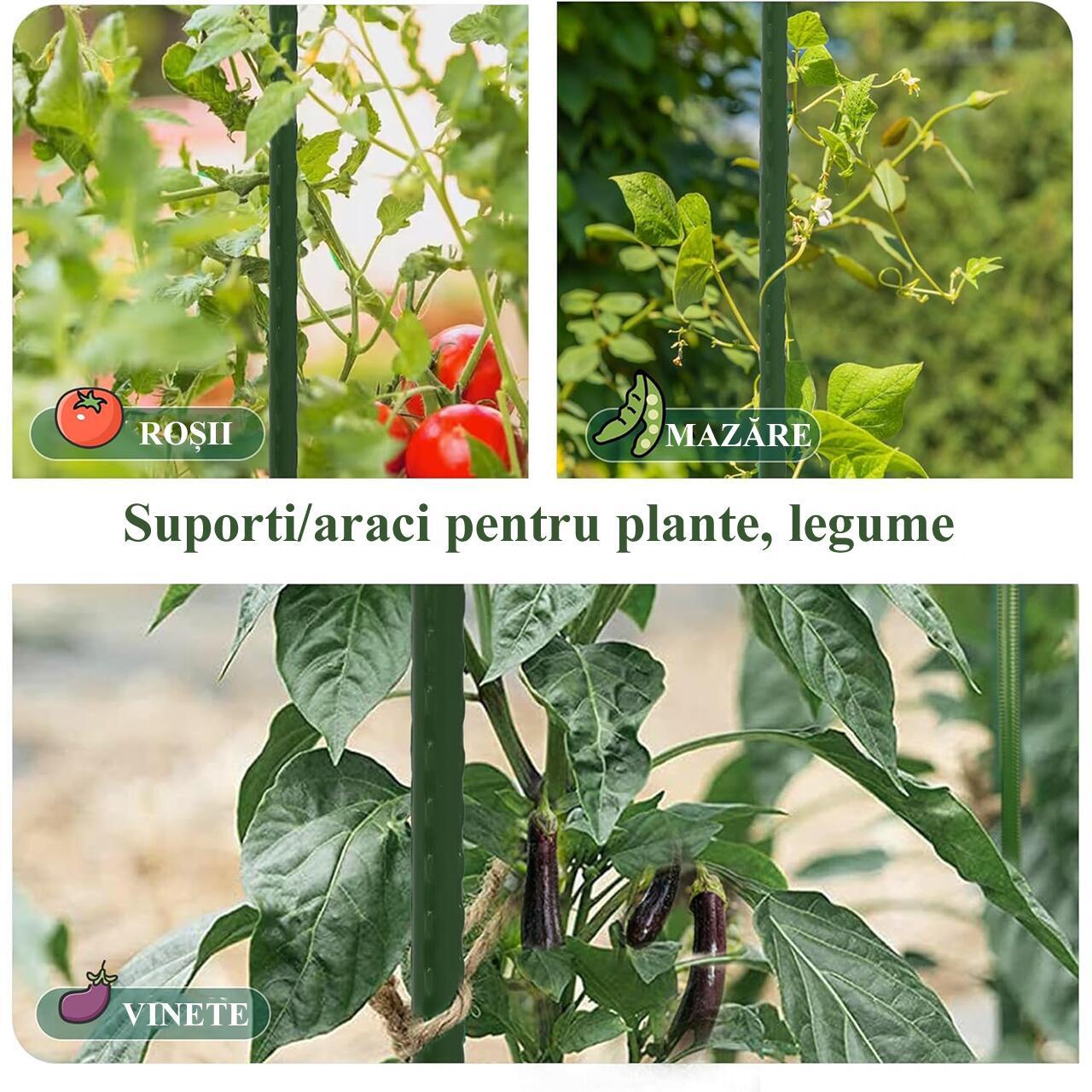 Suport/arac pentru plante, rosii, metal + PVC, verde, 0.8x75 cm, Artool