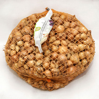 Arpagic Stufat – producție rapidă pentru ceapă verde | sac 1 kg - SolPlant.ro