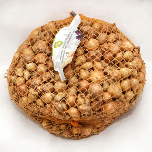 Arpagic Stufat – producție rapidă pentru ceapă verde | sac 1 kg