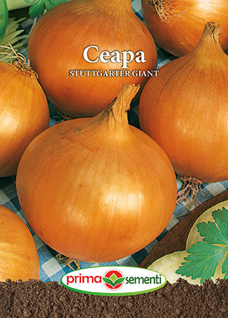 Semințe ceapă Stuttgarter Giant