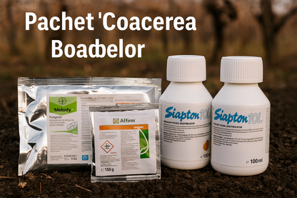 Pachet „Compactarea ciorchinilor” – Vița-de-vie