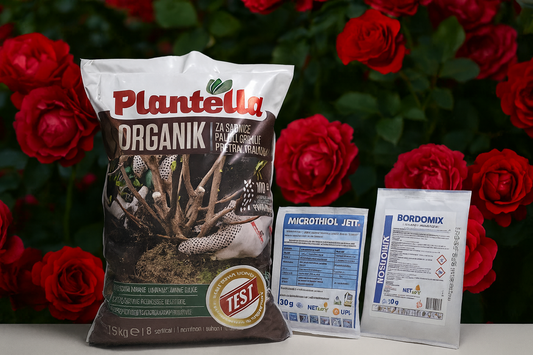 Pachet TRANDAFIRI - Toamna