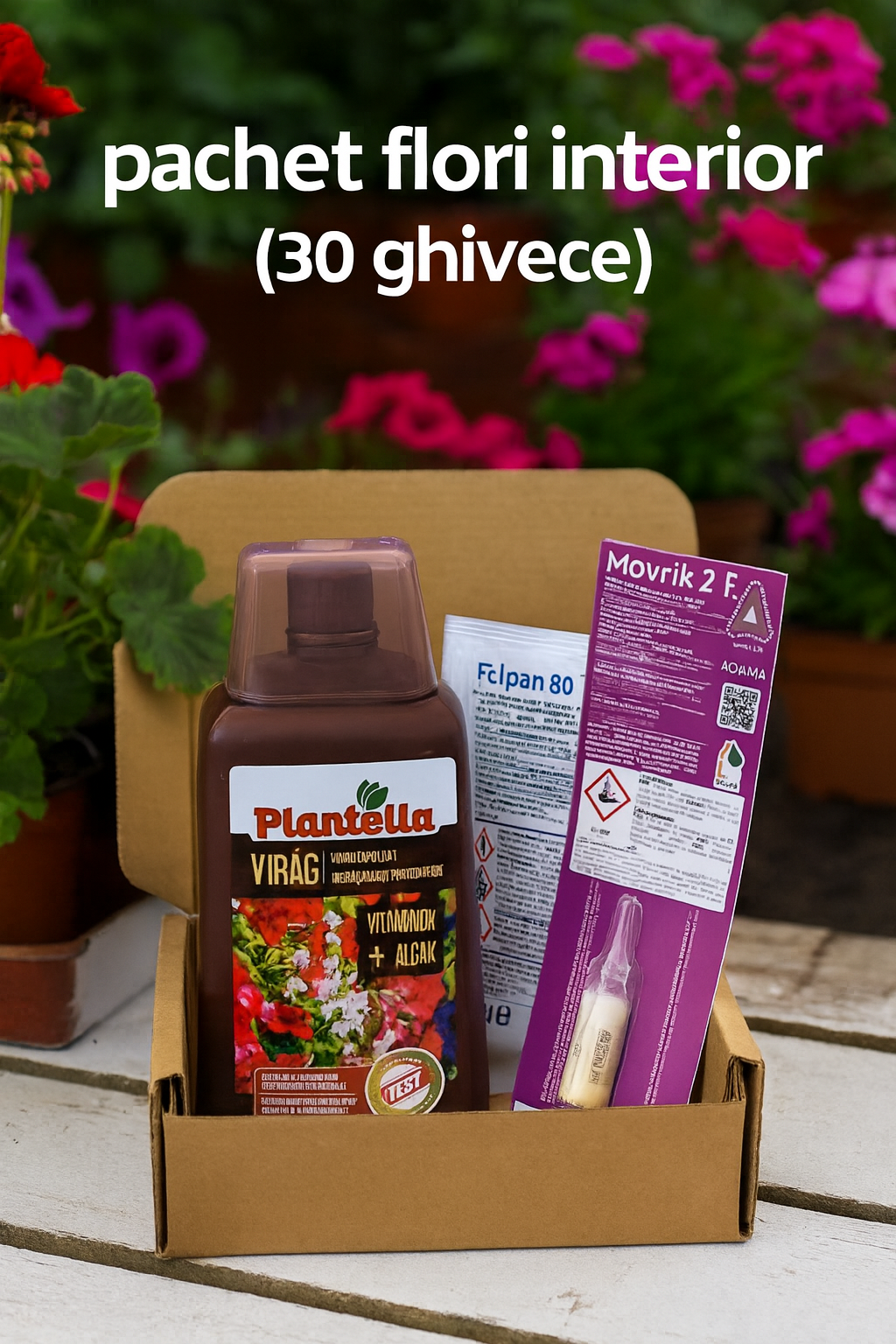 Pachet Flori de Interior