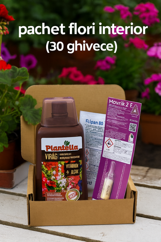 Pachet Flori de Interior