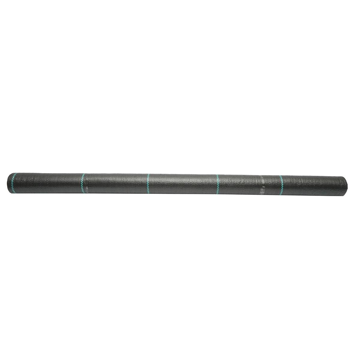 Folie antiburuieni, polipropilena, tesuta, neagra, 70 g/m2, 2x10 m