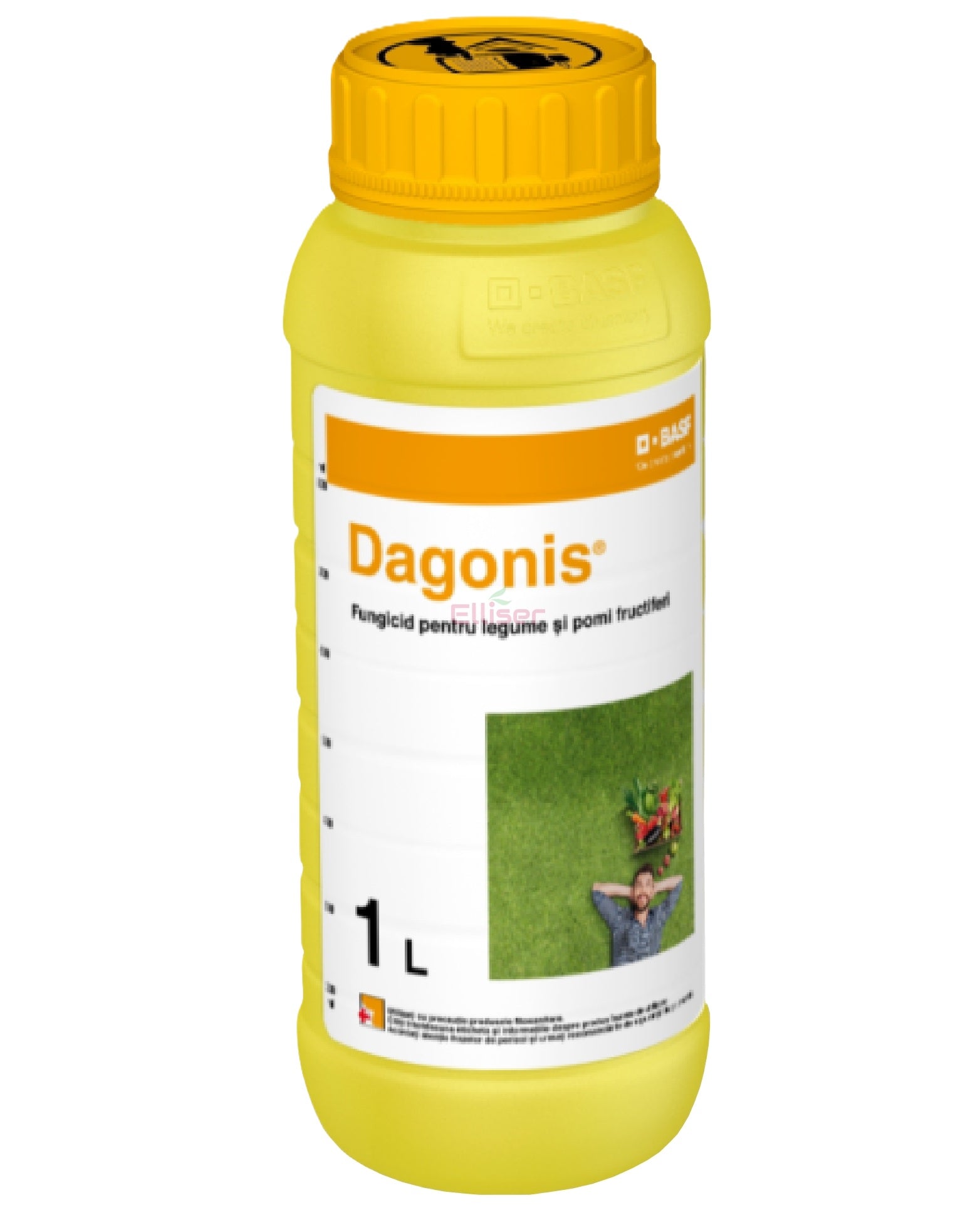 fungicid-dagonis-basf-pomi-fructiferi-legume-sistemic