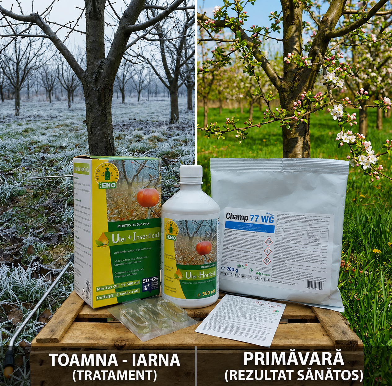 Pachet Tratament Complet Pomi ~ Repaus Vegetativ ~ Mar, Par, Prun, Cires, Visin, Piersic ~ Combatere Boli Bacteriene Fungice, Insecte Hibernante