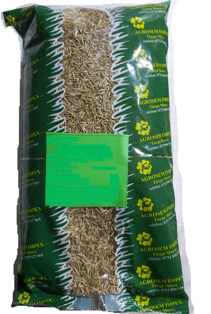 https://agrosen.ro/attachments/shop_images/1605105568572/Gazon_Ornamental_0,500_g.png