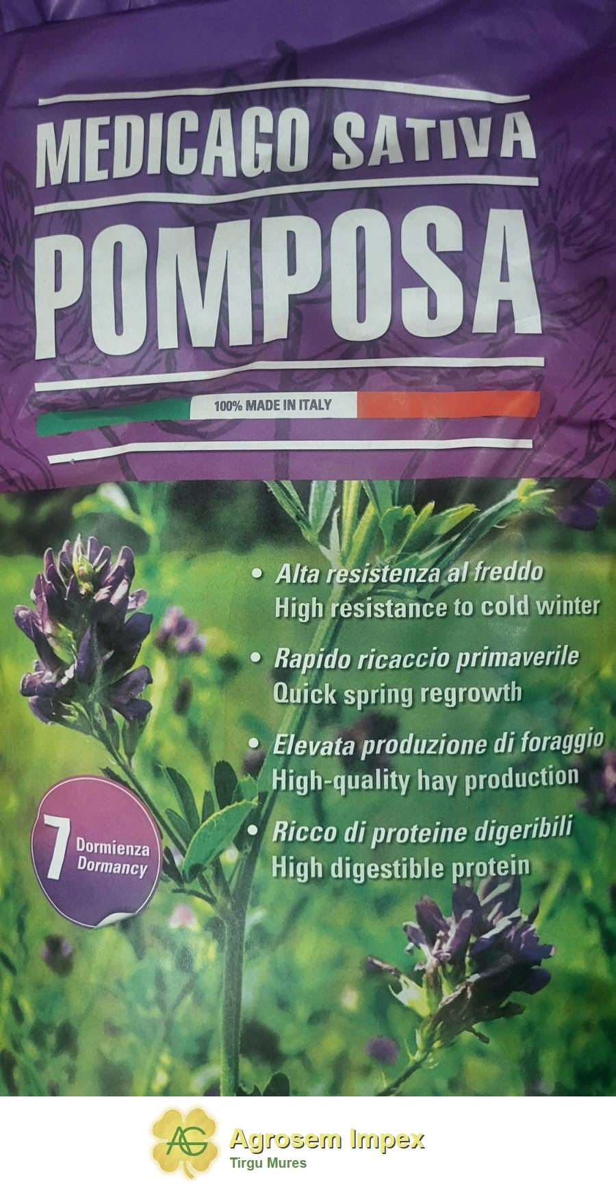 https://agrosen.ro/attachments/shop_images/Lucerna_Pomposa.jpeg