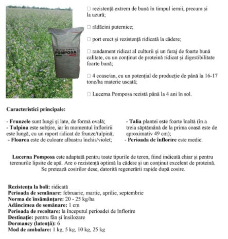https://agrosen.ro/attachments/shop_images/1606995460/Lucerna_Pomposa_despre.jpg