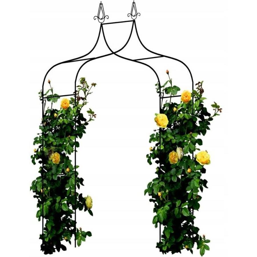 Arcada metalica, pergola, pentru gradina, ascutita, 150x37x240 cm