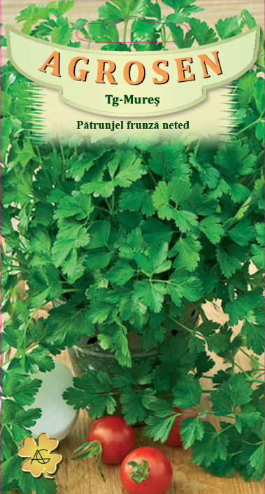 seminte-patrunjel-frunza-neteda-plain-leaved