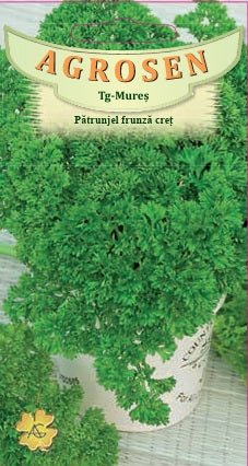 seminte-patrunjel-frunza-creata