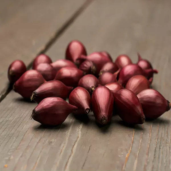 arpagic-rosu-red-karmen-calibru-10-21mm