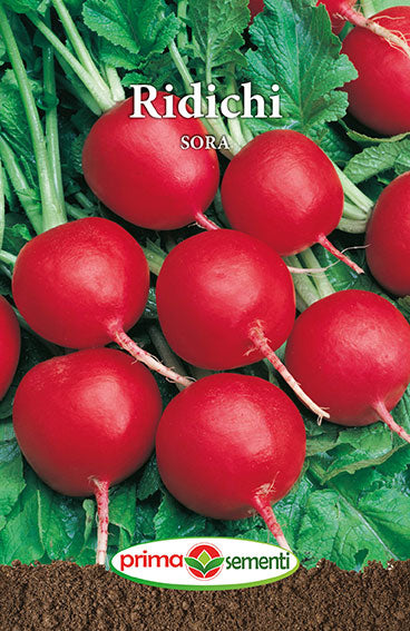 Seminte ridichi Sora F1