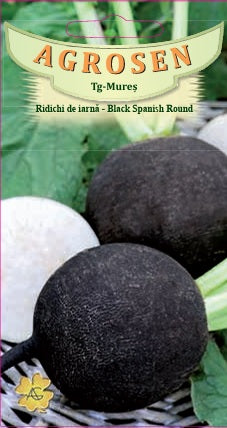 seminte-ridichi-de-iarna-black-spanish-round