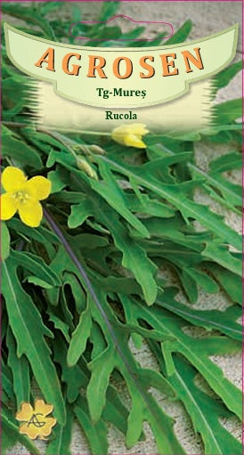 seminte-rucola-eruca-sativa
