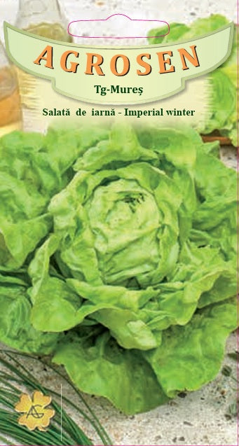 seminte-salata-de-iarna-imperial-winter