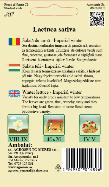 Salată de Iarnă Imperial Winter - Seminte Rezistenta la Frig