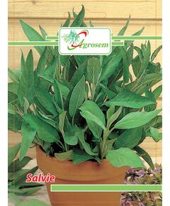 https://agrosemseed.ro/images/thumbnails/240/290/detailed/8/Salvie-copy.jpg
