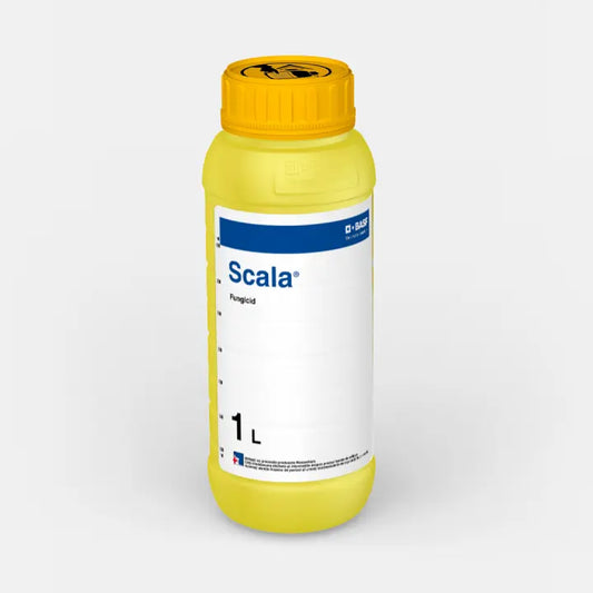 Fungicid SCALA - 1 Litru, BASF, Contact, Putregaiul Cenusiu, Rapan