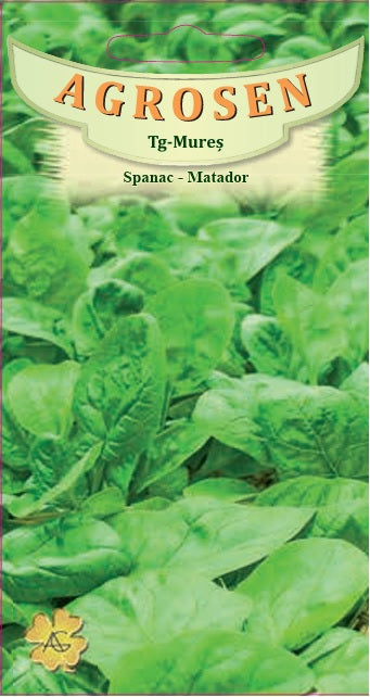 seminte-spanac-matador-primavara-toamna