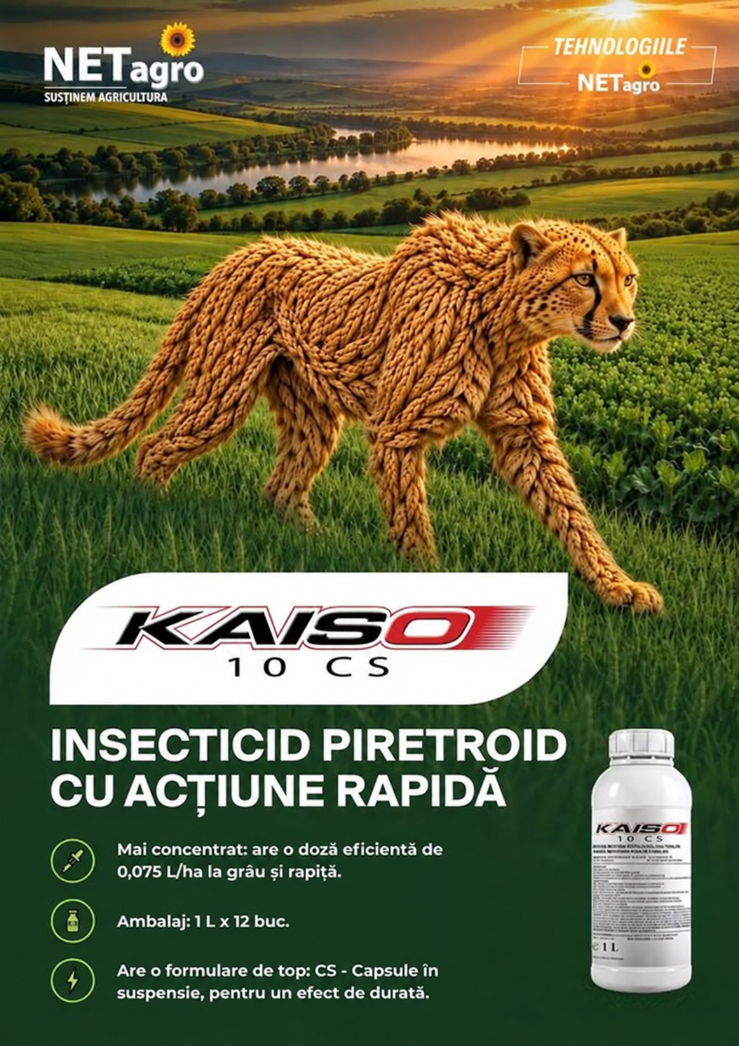 Kaiso 10 CS Insecticid Piretroid Cu Lambda-Cihalotrin Pentru Grâu Și Rapiță