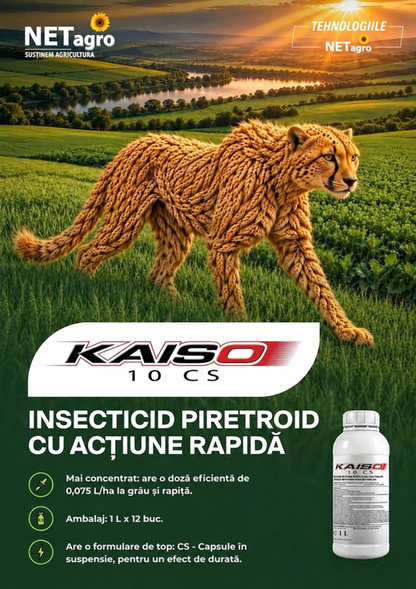 Kaiso 10 CS Insecticid Piretroid Cu Lambda-Cihalotrin Pentru Grâu Și Rapiță