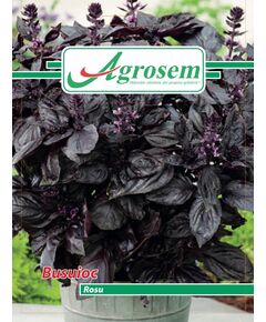 https://agrosemseed.ro/images/thumbnails/240/290/detailed/9/WhatsApp_Image_2025-11-26_at_11.08.48__9_.jpeg