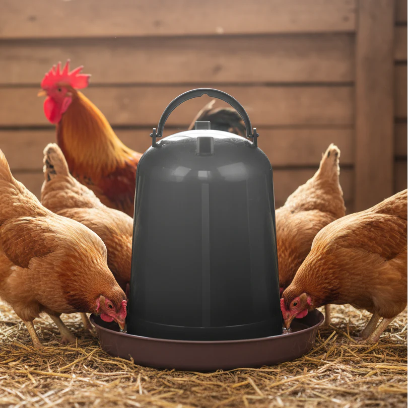 Adăpătoare pentru păsări 5 litri – practică și rezistentă