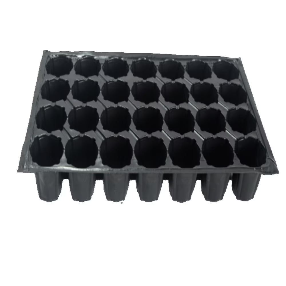 Alveole Rasad 28/45/70/104 celule - SolPlant.ro