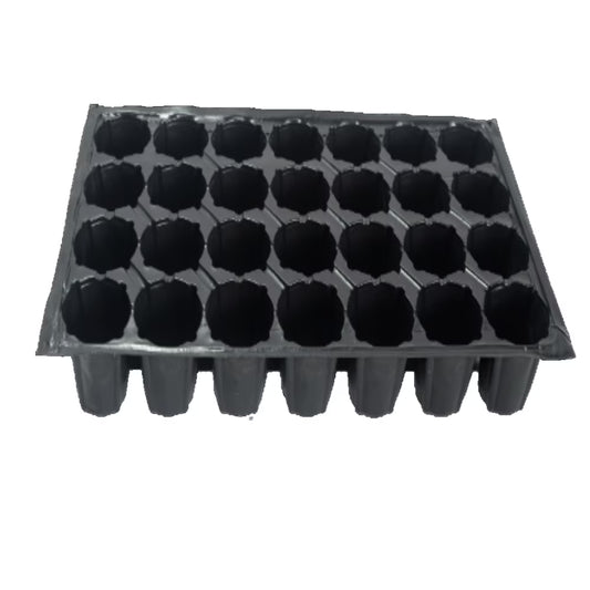 Alveole Rasad 28/45/70/104 celule - SolPlant.ro