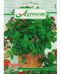 https://agrosemseed.ro/images/thumbnails/240/290/detailed/9/aromatc_oregano.JPG
