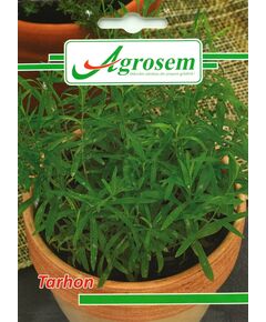 https://agrosemseed.ro/images/thumbnails/240/290/detailed/9/aromatic_tarhon.JPG