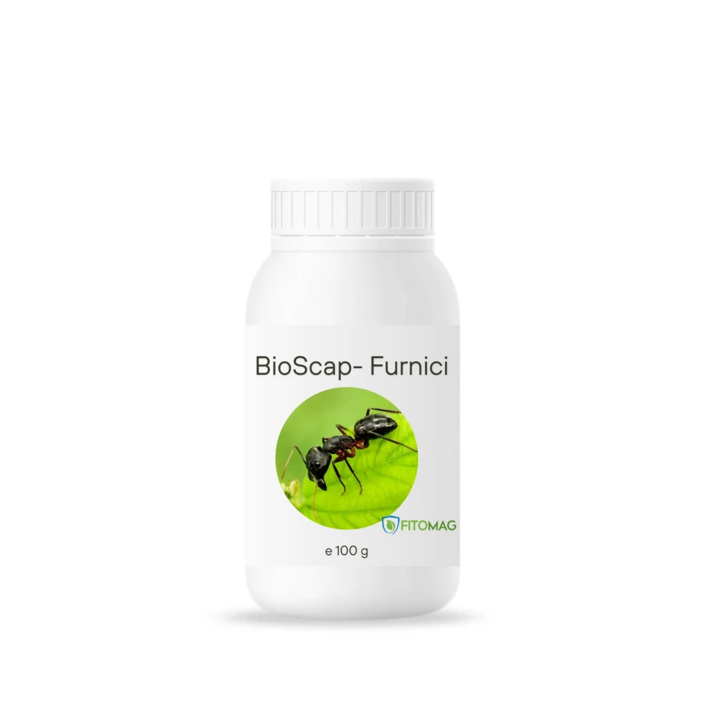 BioScap Insecticid Bio Anti-Furnici – Interior, Bucatarie, Gradina, Terasa, Curte, Musuroi — Imprastiere Contact Pulbere Diatomee (SiO2)