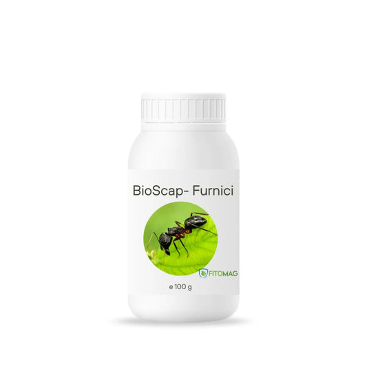 BioScap Insecticid Bio Anti-Furnici – Interior, Bucatarie, Gradina, Terasa, Curte, Musuroi — Imprastiere Contact Pulbere Diatomee (SiO2)