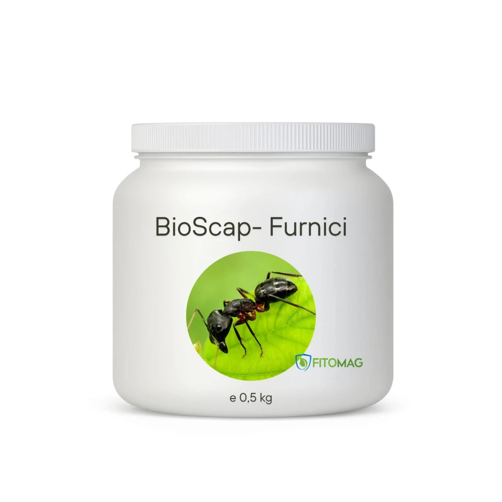 BioScap Insecticid Bio Anti-Furnici – Interior, Bucatarie, Gradina, Terasa, Curte, Musuroi — Imprastiere Contact Pulbere Diatomee (SiO2)
